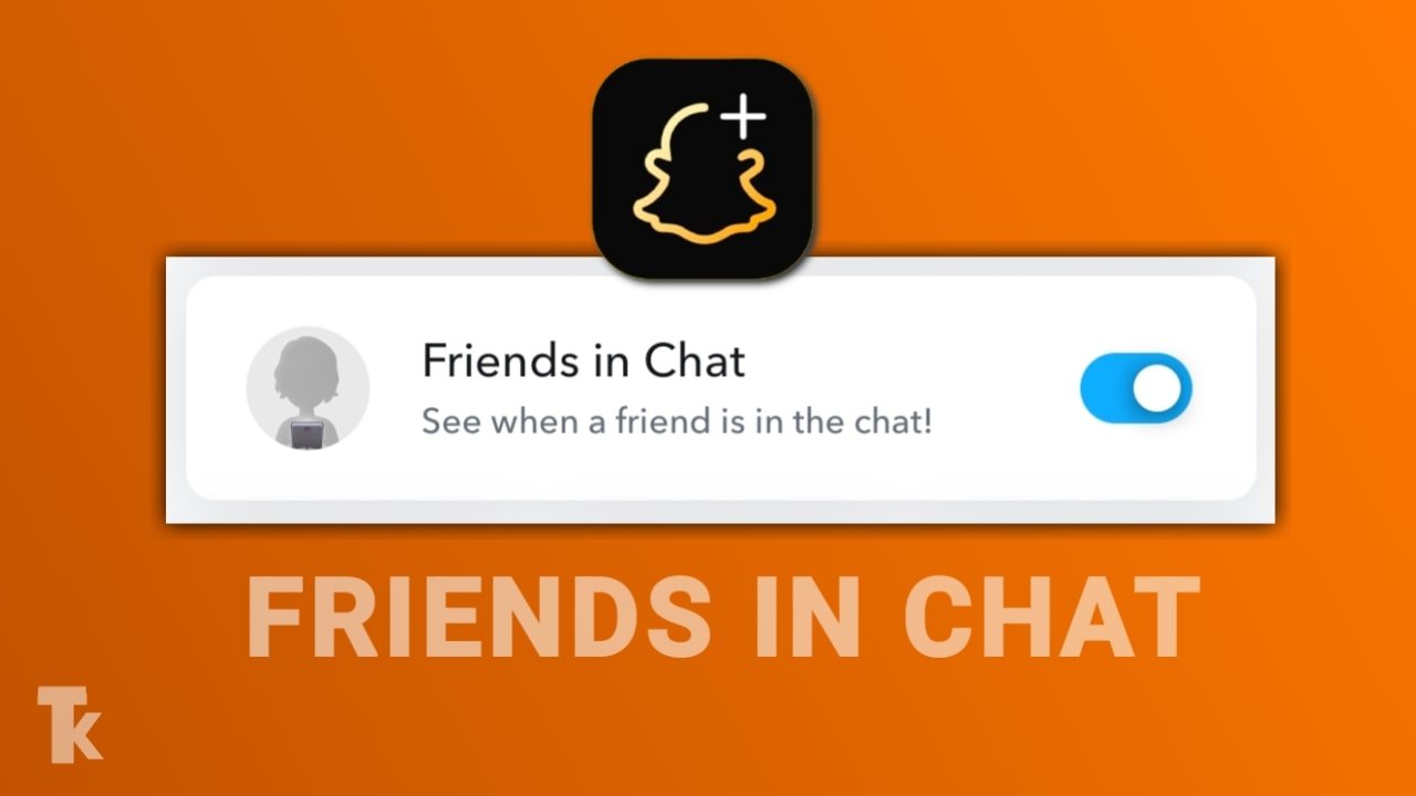 Friends in Chat Feature